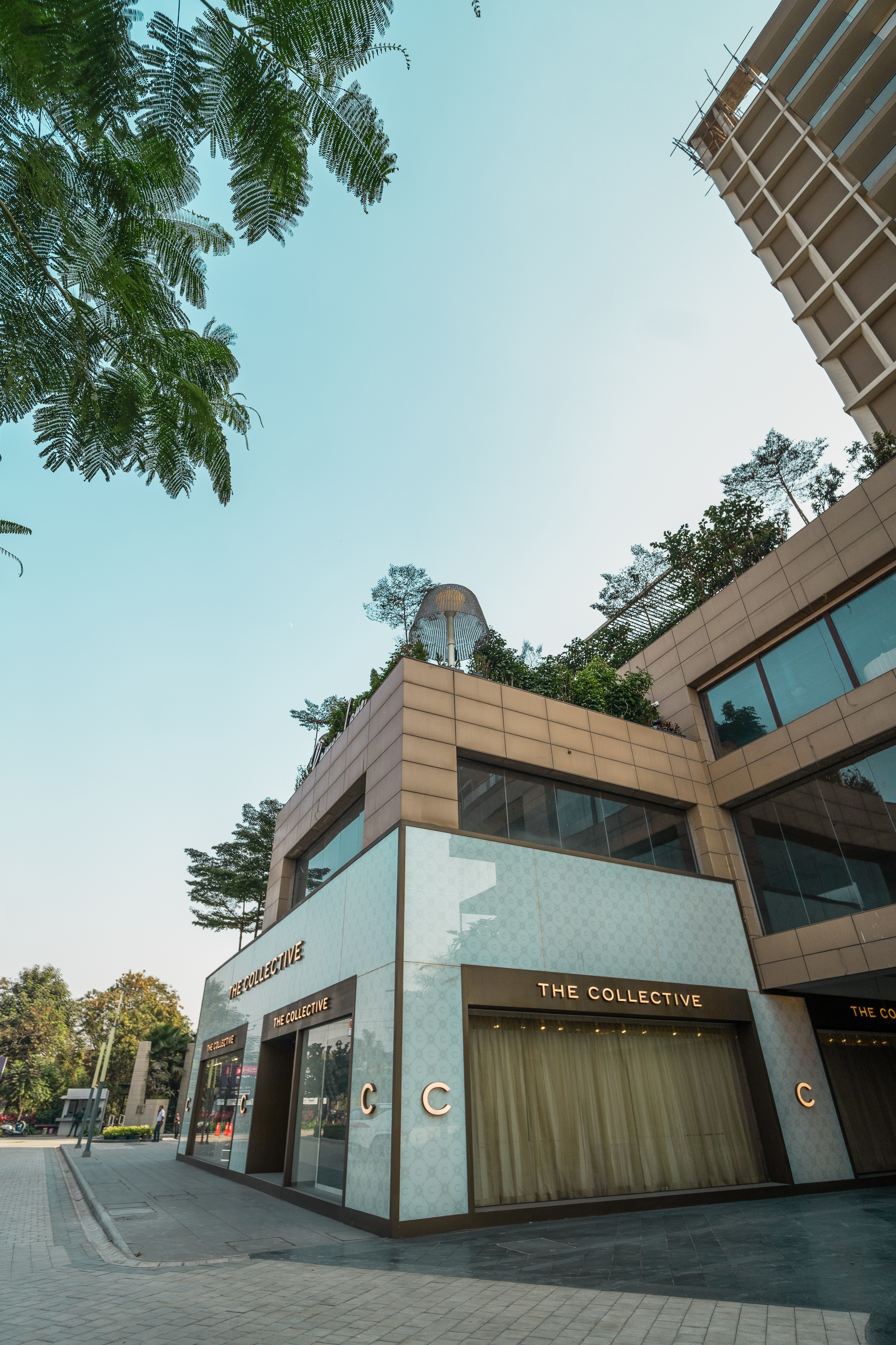 The Collective Building